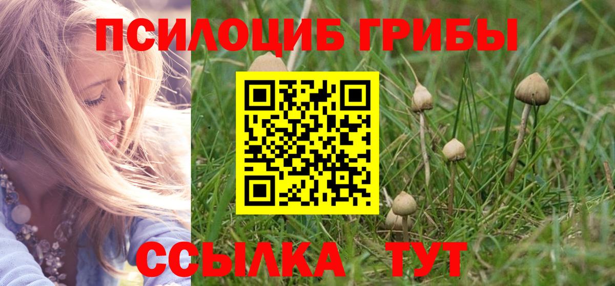 Псилоцибиновые грибы MAGIC MUSHROOMS Дзержинск