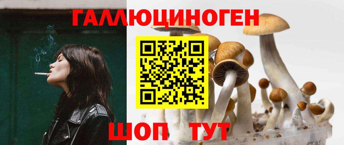 Псилоцибиновые грибы Psilocybine cubensis  Вход с VPN  Дзержинск  Галлюциногенные грибы Psilocybine cubensis 